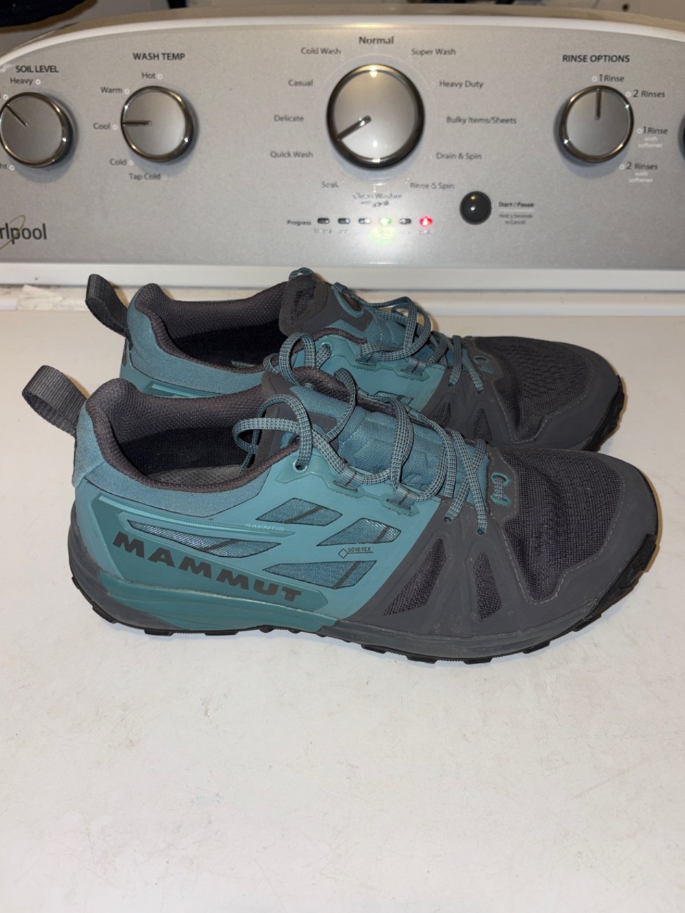 Mammut Saentis Low GTX Mens Shoes